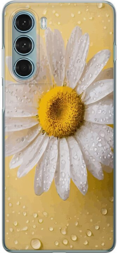 Mobildeksel til Motorola Moto G200 5G med Porselensblomst motiv