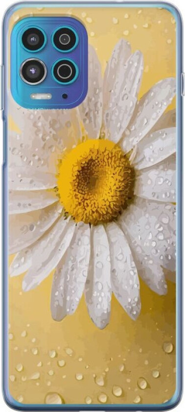 Mobildeksel til Motorola Moto G100 med Porselensblomst motiv