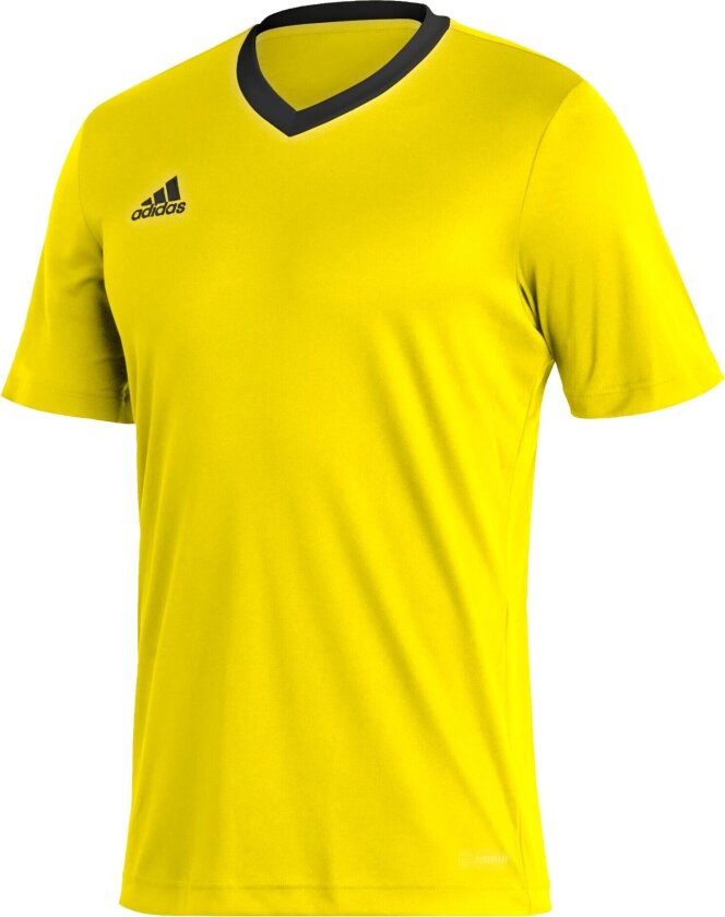 adidas ENT22 Jersey, t-skjorte herre Team Yellow/black