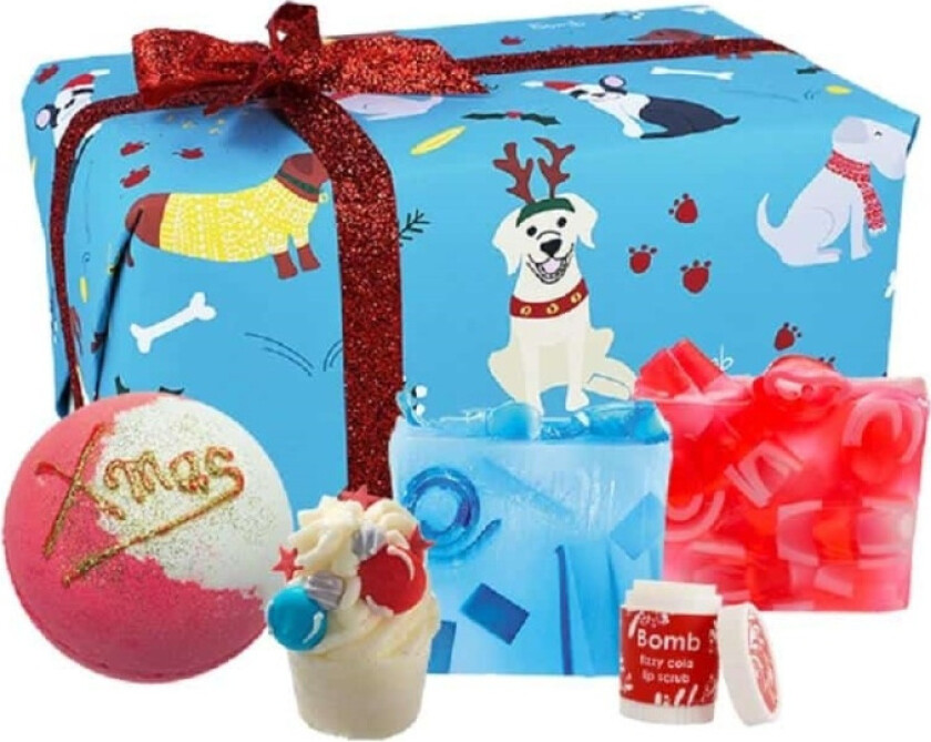 Santa Paws Gift Box