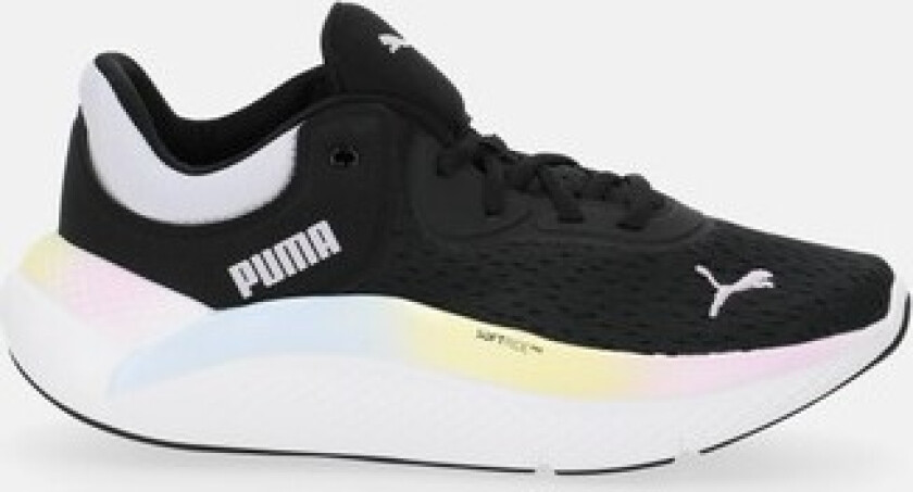 Softride Pro Nova Shine Wn S, Puma Black-Spring Lavender-Pum, 42