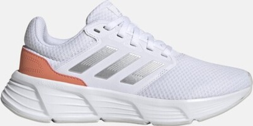 Galaxy 6 W, Ftwwht/Silvmt/Corfus, 38 2/3