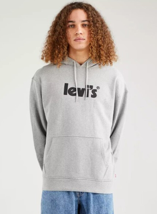 T2 Relaxed Graphic Po, Poster Hoo, L, Hoodies