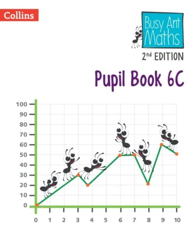 Pupil Book 6C av Jeanette Mumford, Sandra Roberts, Linda Glithro, Elizabeth Jurgensen