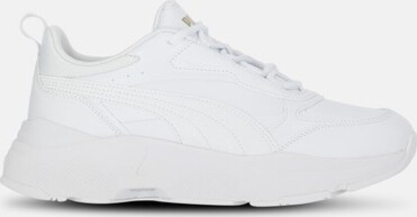 Cassia Sl, Puma White-Puma White-Puma Tea, 36