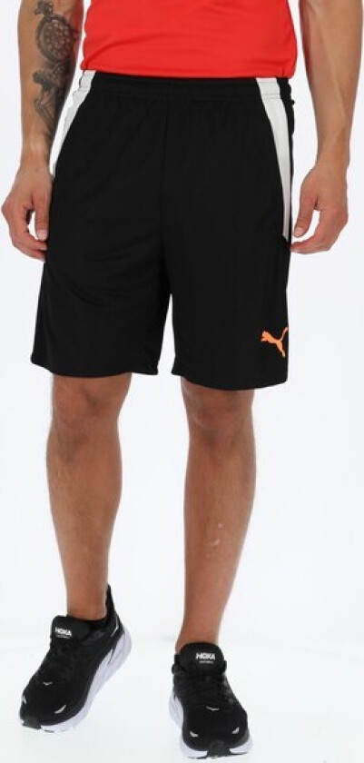 Teamliga Training Shorts 2