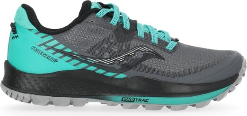 Peregrine 11, Shadow/Jade, 38