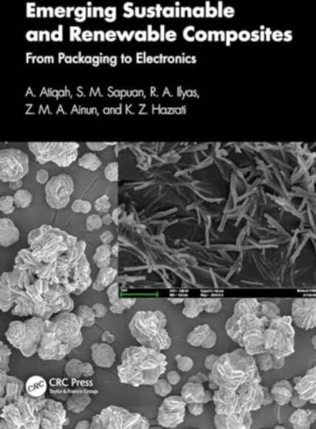 Emerging Sustainable and Renewable Composites