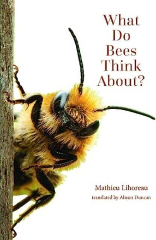 What Do Bees Think About? av Mathieu Lihoreau