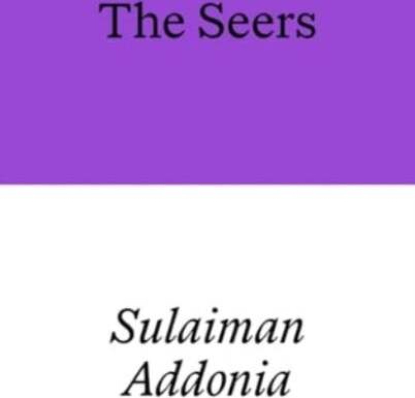 The Seers av Sulaiman Addonia