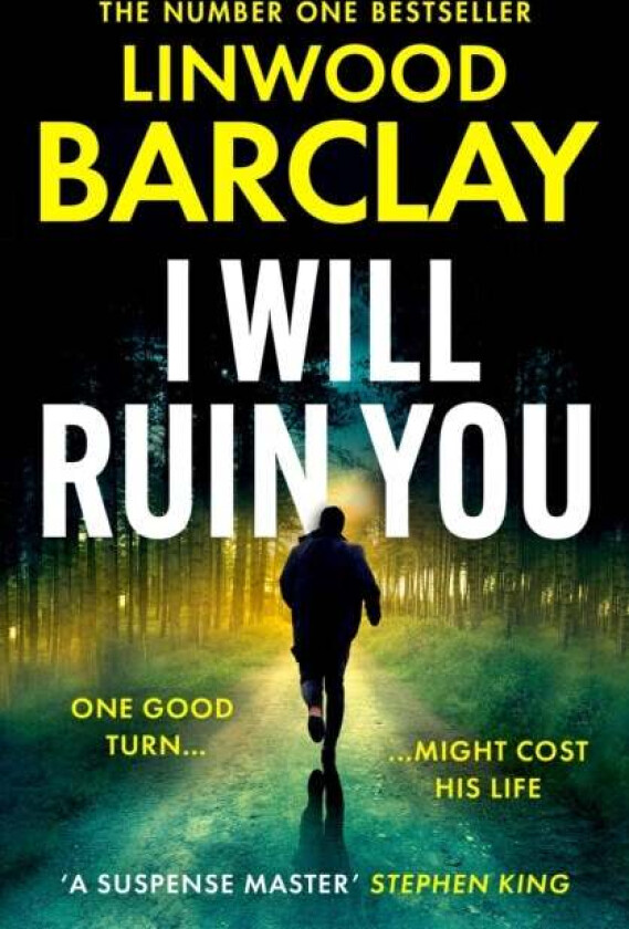 I Will Ruin You av Linwood Barclay