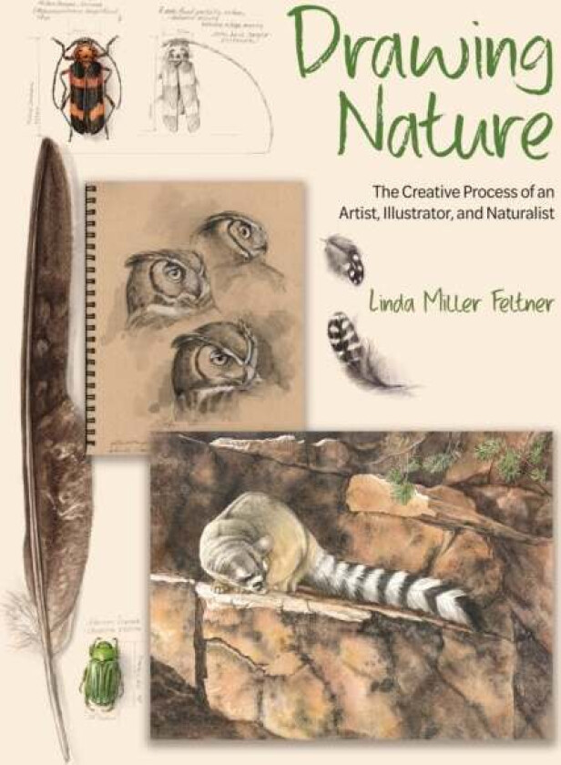 Drawing Nature av Linda Miller Feltner