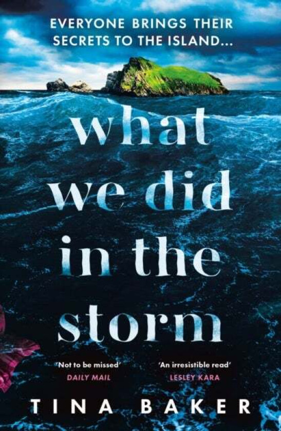 What We Did In The Storm av Tina Baker
