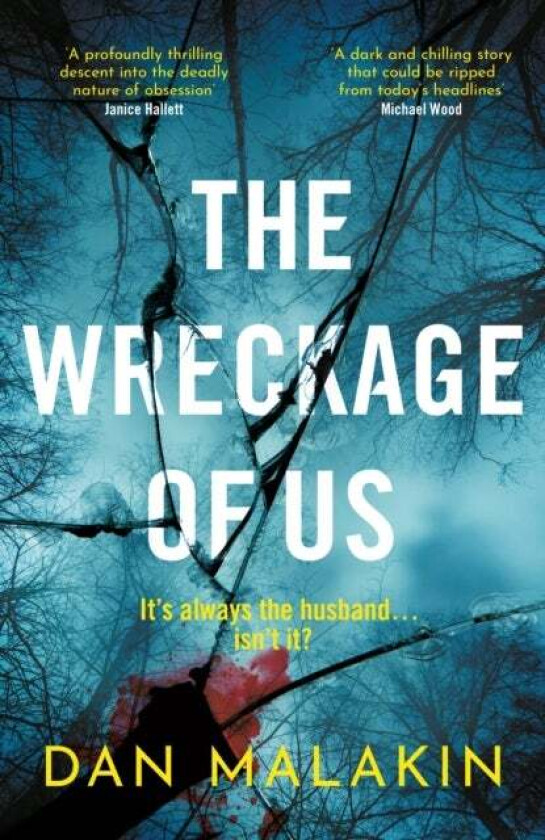 The Wreckage of Us av Dan Malakin