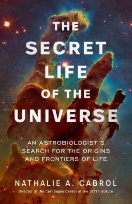 The Secret Life of the Universe av Nathalie A. Cabrol