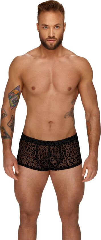 Leopard Mesh Shorts for menn - Svart - XL