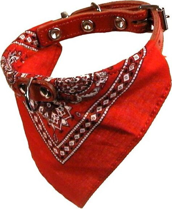Halsbånd med skjerf - 30cm