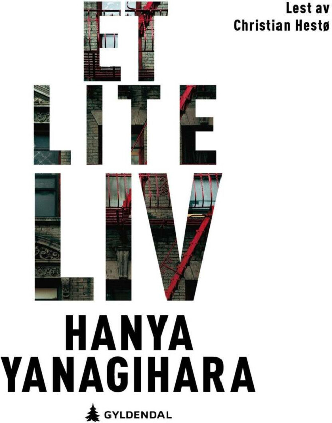 Et lite liv av Hanya Yanagihara