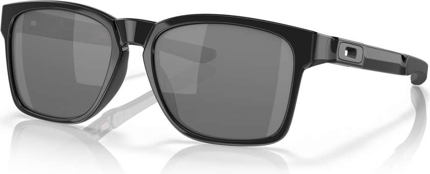 Men's Catalyst® (low Bridge Fit) Sunglasses