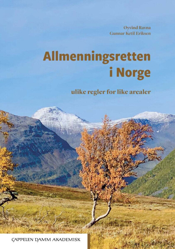 Allmenningsretten i Norge av Gunnar K. Eriksen, Øyvind Ravna