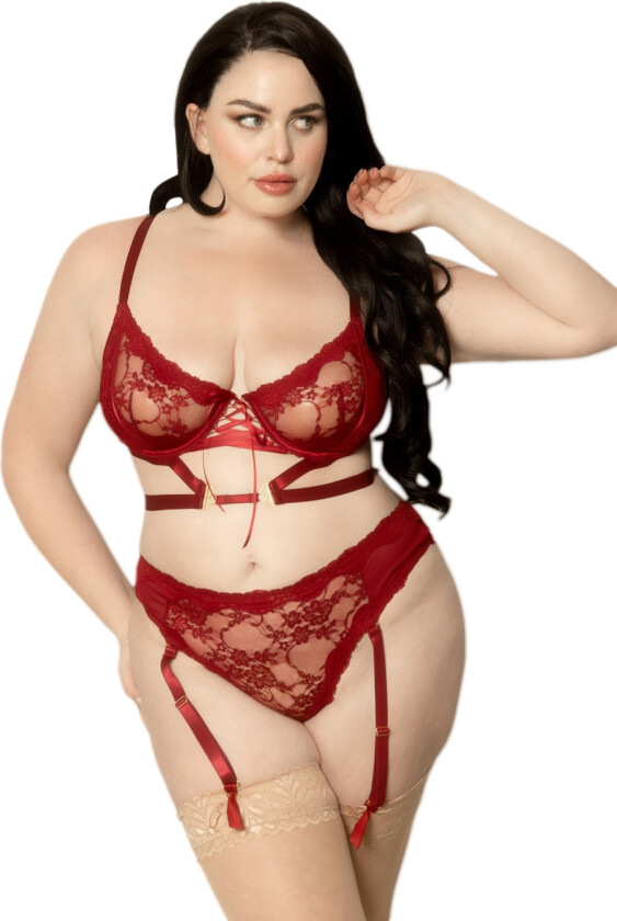 BH og Truse med Avtagbare Strømpeholdere Plus Size - Bordeaux - 3XL/4XL