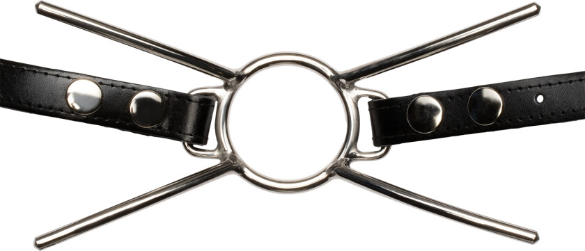 Cat Mouth Gag i Stål med Stropp - Sølv