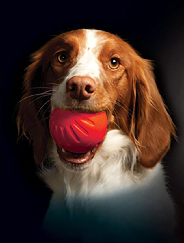 Starmark Foam Bacon Ball Hundeleke (2 størrelser) - Large