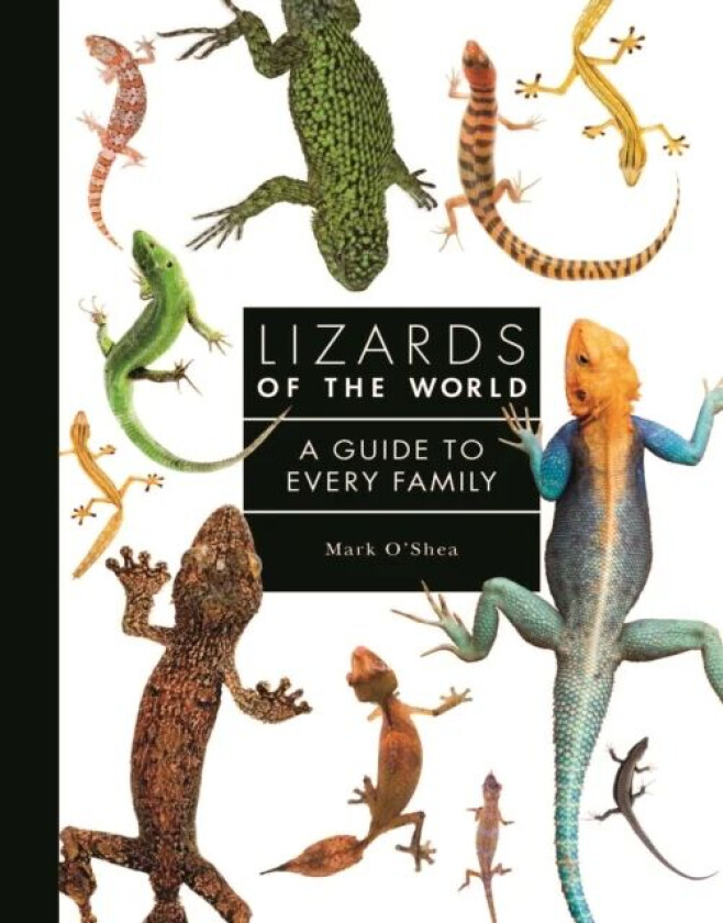 Lizards of the World av Mark O'Shea