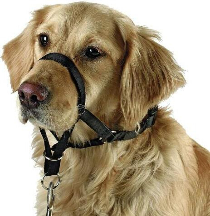 Antitrekksele snuteomkrets maks 44 cm