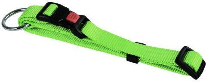 Bilde av Halsbånd nylon grønn 15 mm 30-45 cm