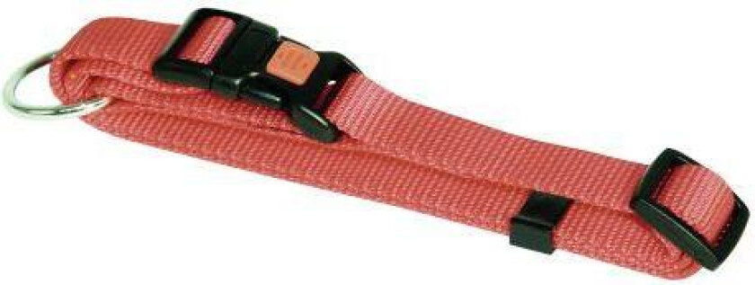 Bilde av Nylon Halsbånd Oransje 10 mm 20-35 cm