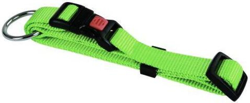 Bilde av Nylon Halsbånd Grønn 10 mm 20-35 cm