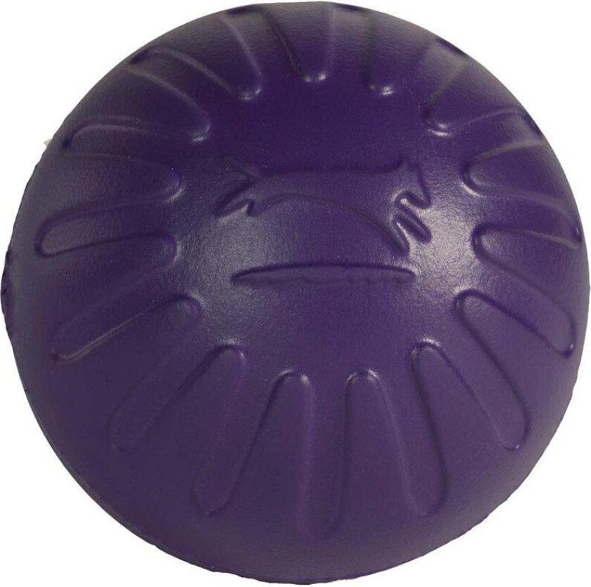 Foam Ball Flyteleke - lilla