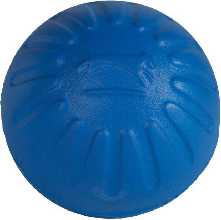 Foam Ball Flyteleke - Blå