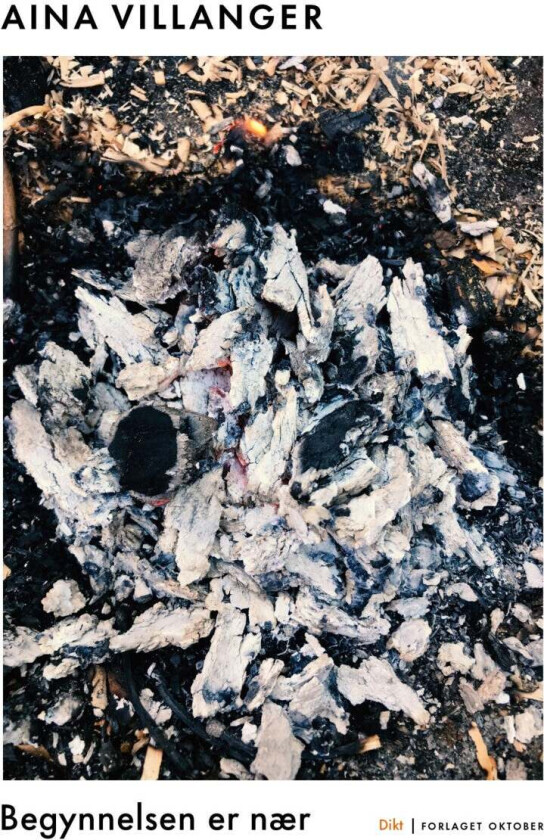 Begynnelsen er nær av Aina Villanger