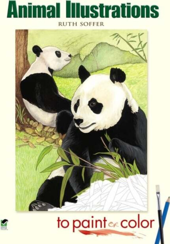 Animal Illustrations to Paint or Color av Ruth Soffer