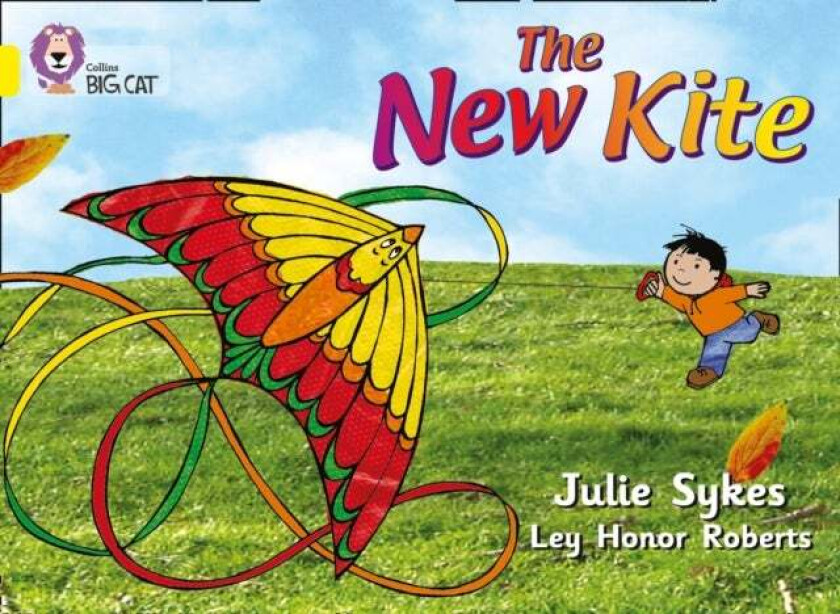 The New Kite av Julie Sykes