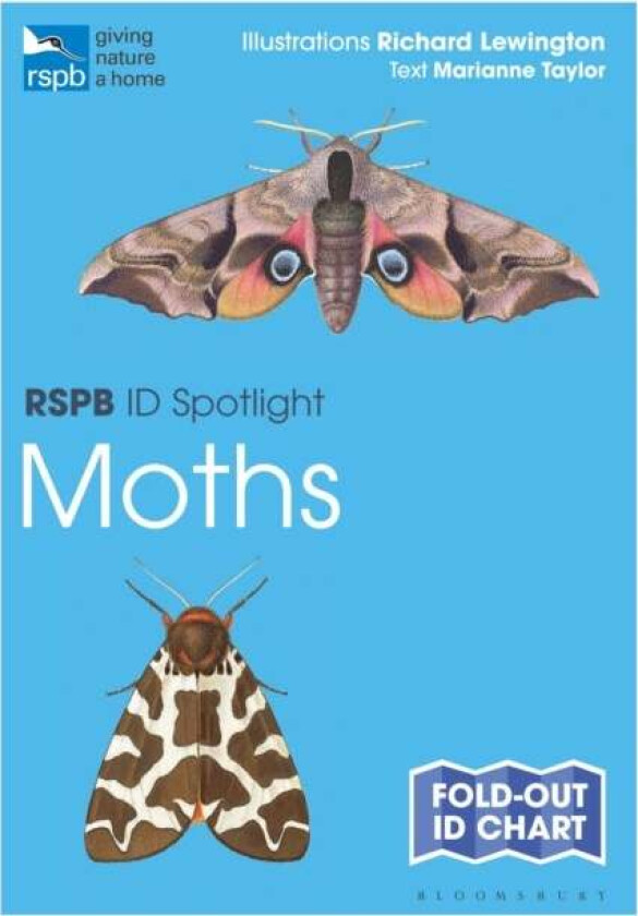 RSPB ID Spotlight - Moths av Marianne Taylor