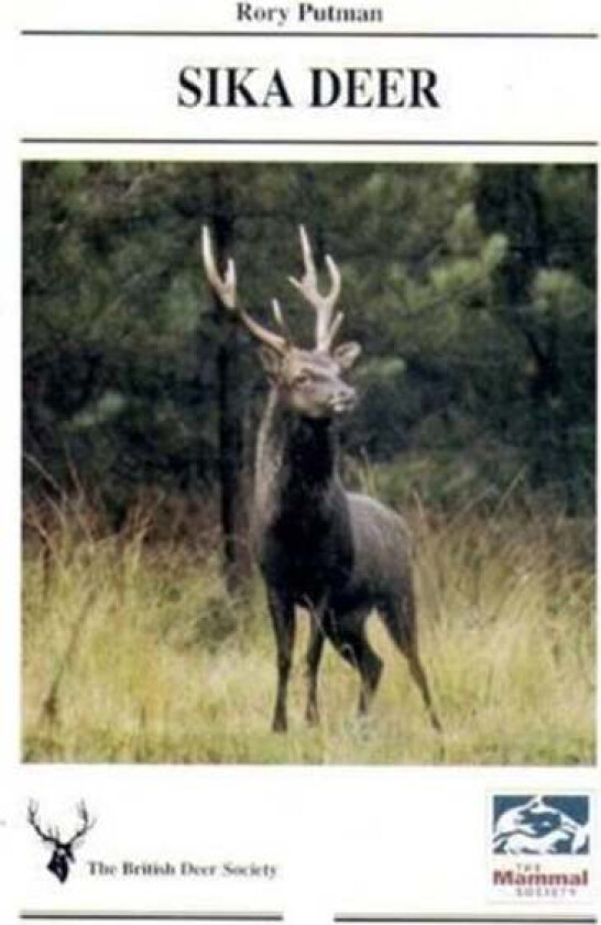 Sika Deer av Rory Putman