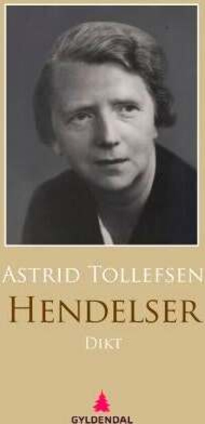 Hendelser av Astrid Tollefsen