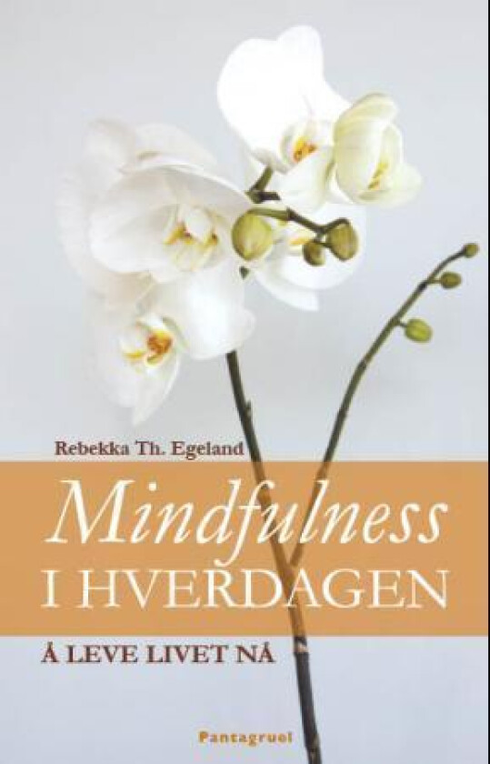 Mindfulness i hverdagen av Rebekka Egeland