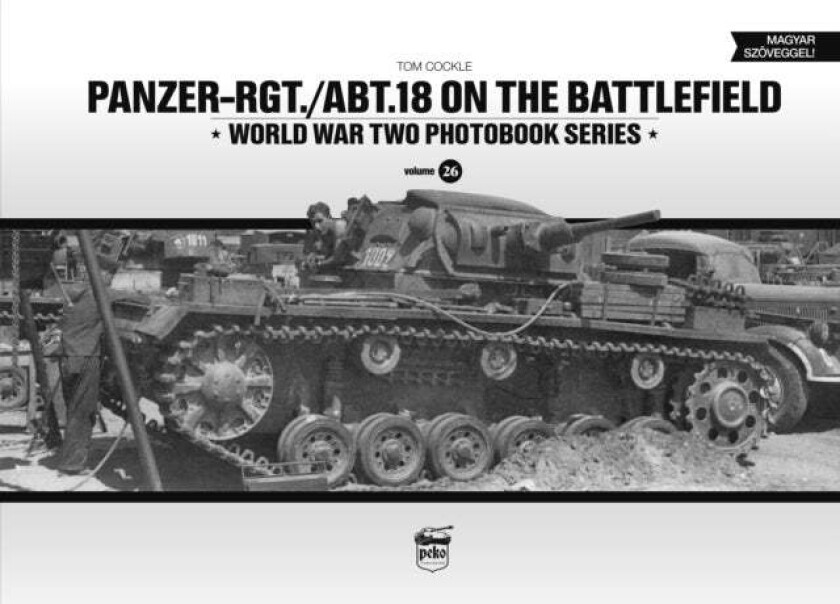 Panzer-Rgt./Abt.18 on the Battlefield av Tom Cockle