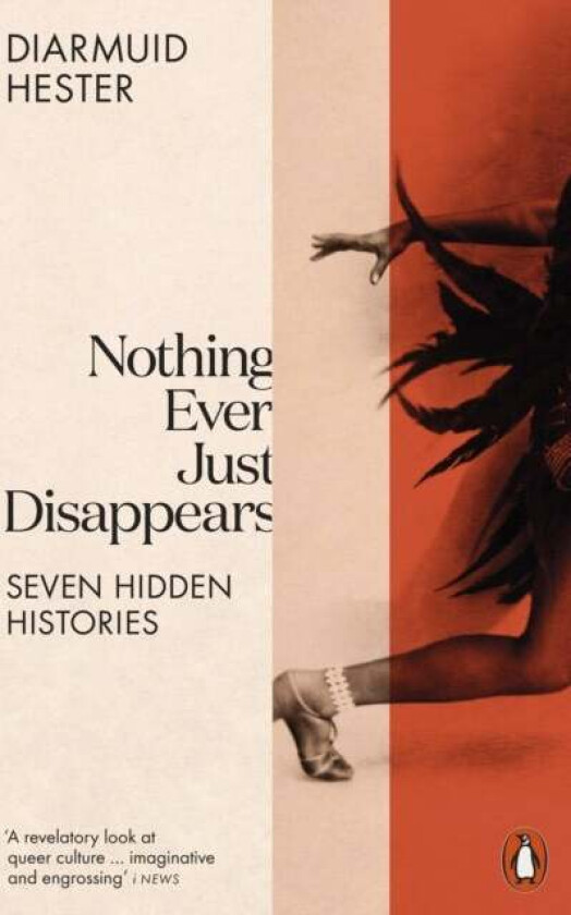 Nothing Ever Just Disappears av Diarmuid Hester