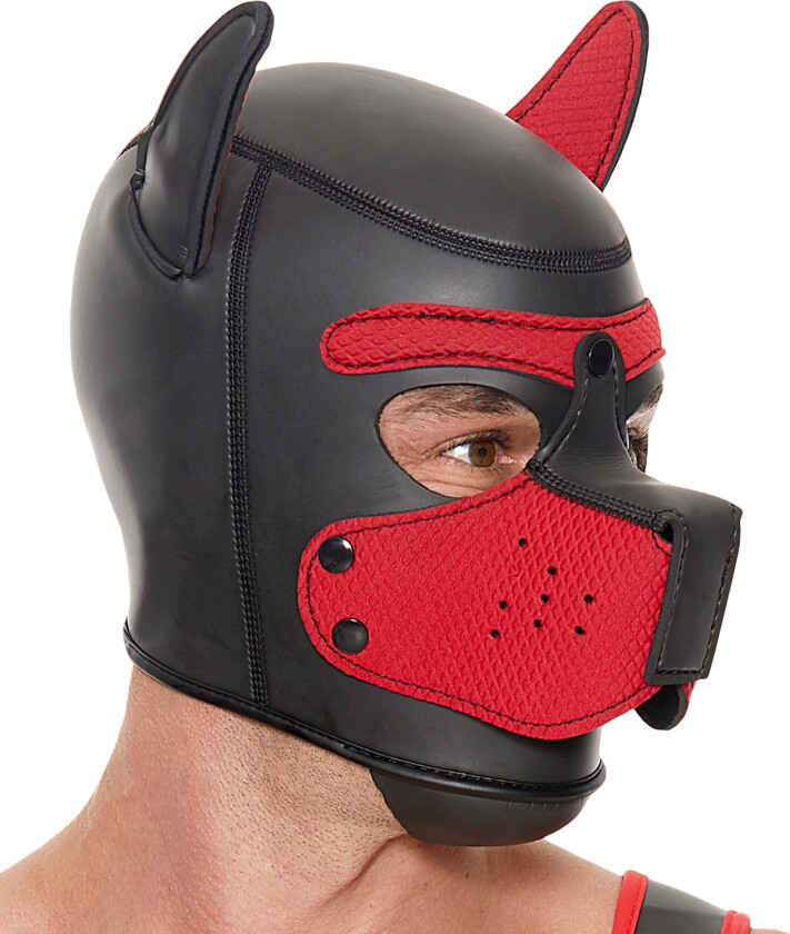 Puppy Play Hette - Svart