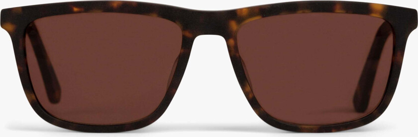 Solbriller +1 - Women's Oslo Dark Turtle - Luxreaders