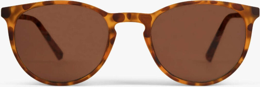 Solbriller +1 - Women's Stockholm Turtle - Luxreaders
