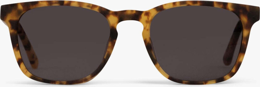 Solbriller +2 - Women's Bornholm Light Turtle - Luxreaders