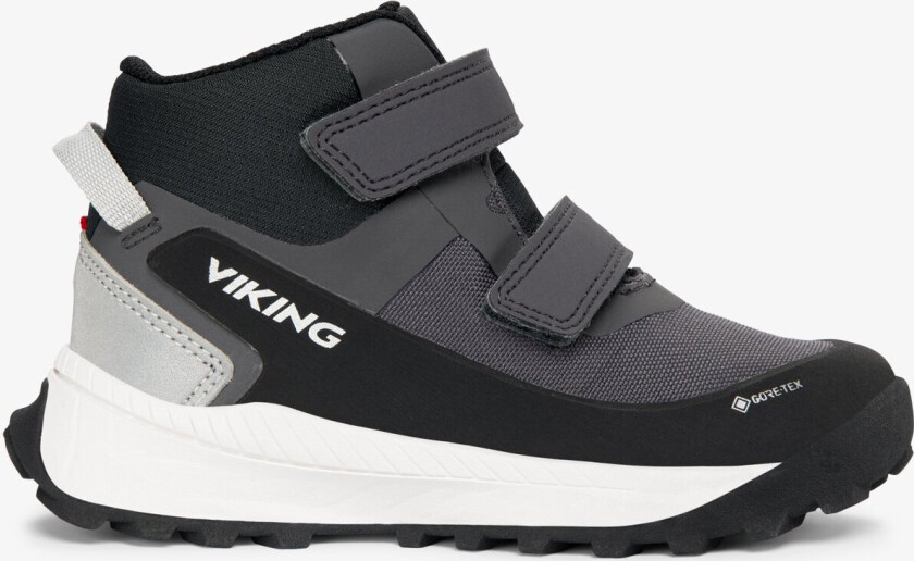 Expower Mid GTX 2V Barn Charcoal 22