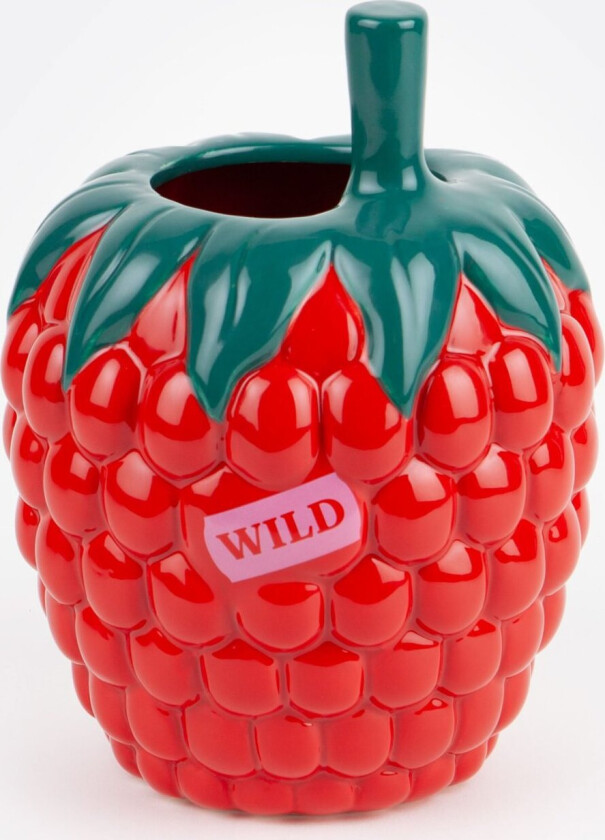 DOIY - Farmers’ Market Raspberry Vase 14.5x20cm