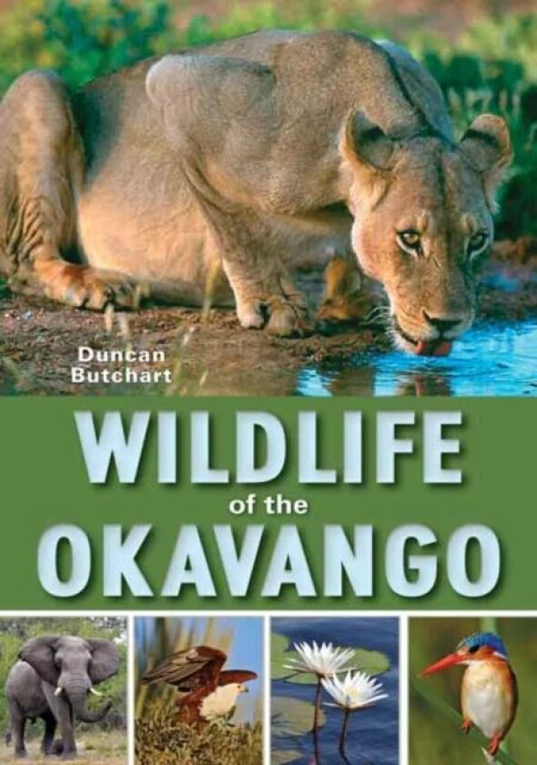 Wildlife of the Okavango av Duncan Butchart